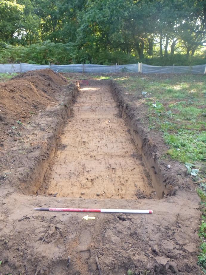 CAT Report 869: Archaeological trial-trenching evaluation: land adjacent to Hillingdon House, Purdis Farm Lane, Ipswich, Suffolk: October 2015 4 Aims The aims of the evaluation were to: Establish