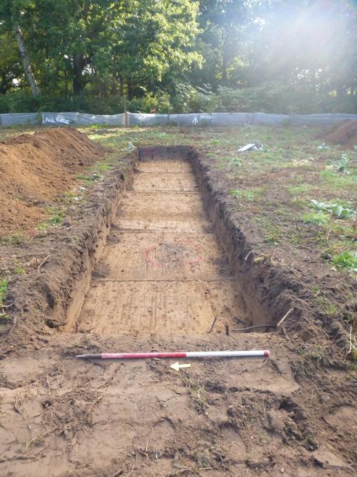 CAT Report 869: Archaeological trial-trenching evaluation: land adjacent to Hillingdon House, Purdis Farm Lane, Ipswich, Suffolk: