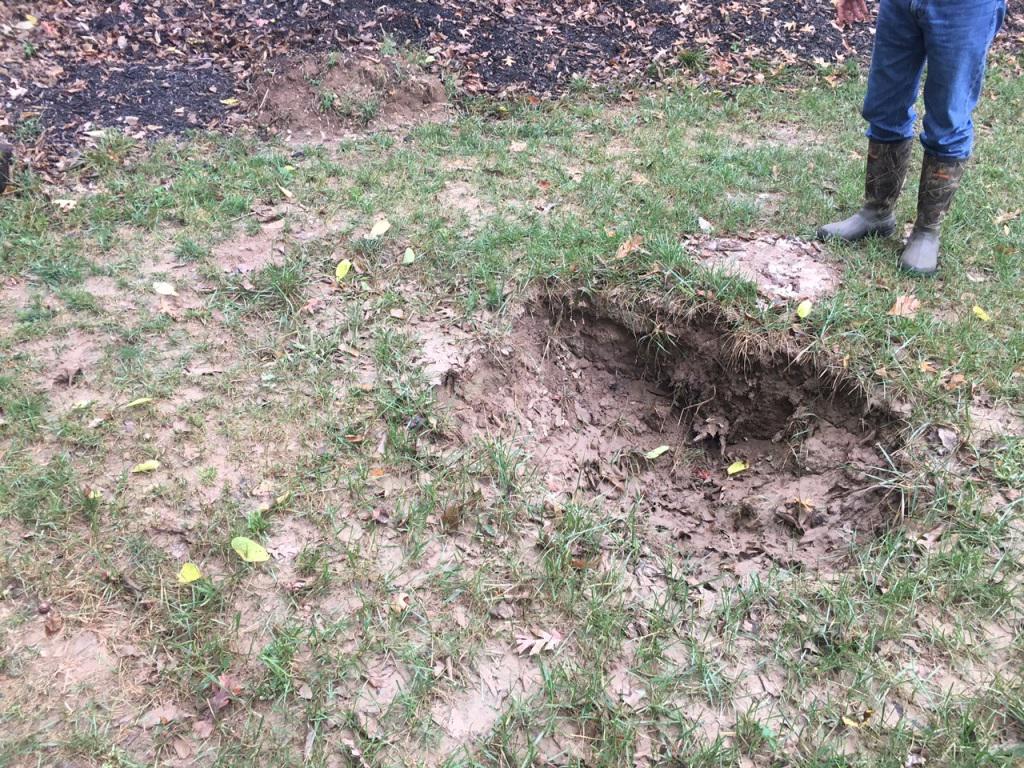 (27) Hole in yard on west portion of