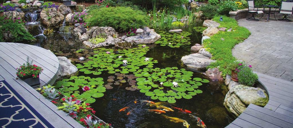 The Science Behind Filtration There are two forms of filtration that are critical to maintaining a successful ecosystem pond: mechanical and biological.