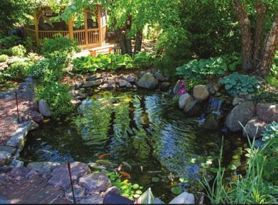 Aquascape LED Garden and Pond Lighting Add a new dimension to your water feature by bringing