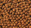 Aquascape fish foods are scientifically formulated to provide all pond fish, including koi and goldfish with
