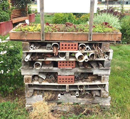 As a new Master Gardener interested in focusing my energies on the Demo Garden, these volunteers fill me with hope and inspiration that the Garden can be saved by developing a comprehensive 2-3 year