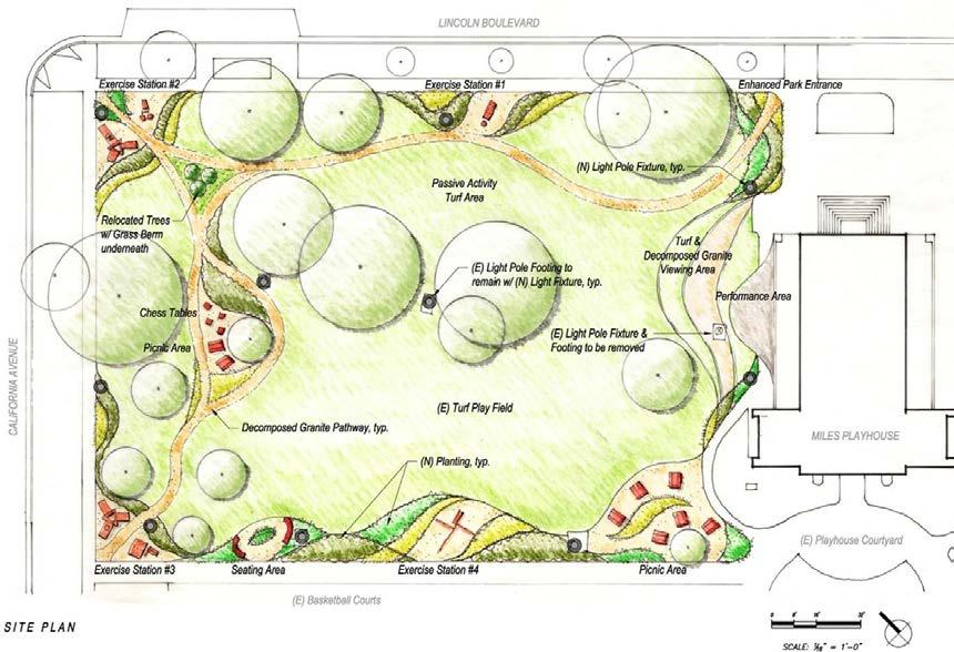 The overlay of program with root zone constraints resulted in two slightly different concepts for the design of the park: Miles Walk and Eucalyptus Trail.