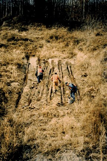 The bioengineering work began on November 20, 1995 with nine workers. They began digging trenches for site 2 with hand shovels around 8 AM and finished digging the trenches around 3 PM.