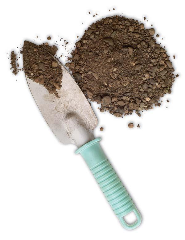 Collecting a Soil Sample. Spread soil sample on a piece of paper.. Remove and discard leaves, sticks and stones.. Using the back of a plastic spoon, crush any lumps larger than a pea.