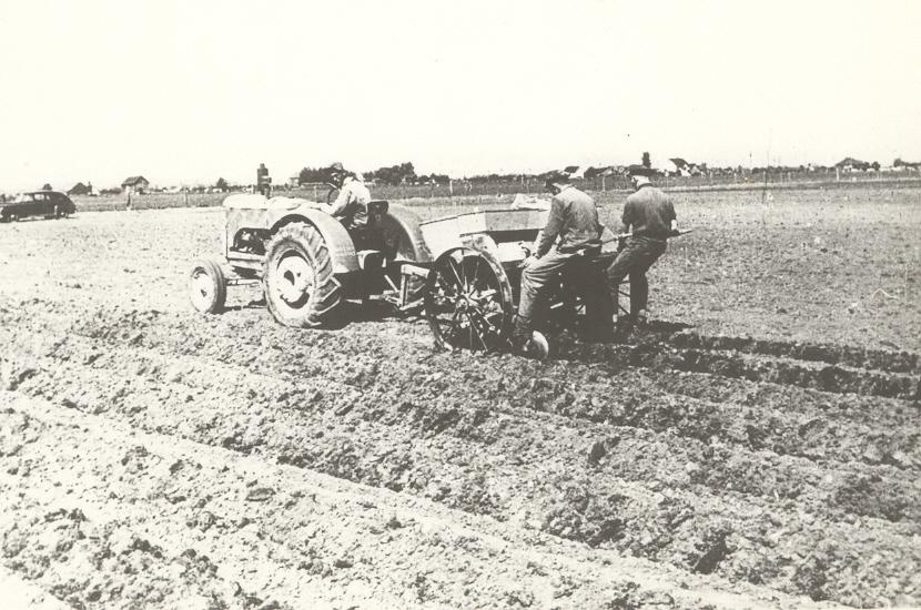 For 100 years farming has been the main use of the land.