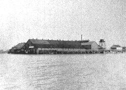 1892 the first cannery, Terra Nova