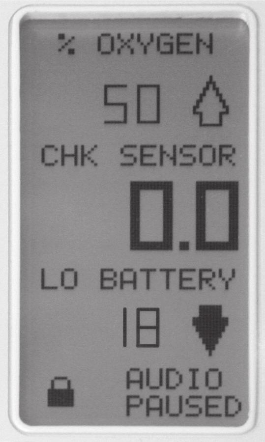 Oxygen Monitor LCD Display IDENTIFICATION 13. High Alarm Set Point 14. Message Indicator 18. % Oxygen 19. High Alarm Indicator 15. Low Battery Indicator 16. Low Alarm Set Point 17.