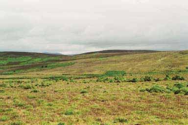 Landscape Characteristics Rolling uplands Dramatic topography of moorland on the upper slopes Forest plantations and marginal agriculture on the lower slopes Minimal built development Distinctive