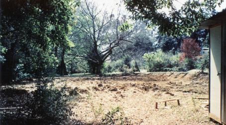 Slight excavation was required on the eastern (right) side. This late winter view shows the elm tree just left of centre.