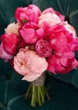 Lower prices for nearly all products, such as for: roses, tulips, chrysanthemums spray and single-head, gerbera, eustoma and peonies. Higher price for cymbidium orchid flowers per stem.