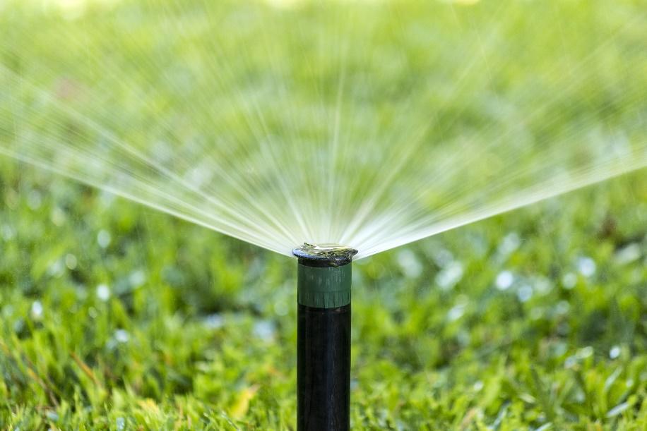 1. Irrigation Timing 18 Water turf just before it begins to wilt, signs of wilting include: Ø A bluish-green or purplish color to the grass Ø Rolling or folding