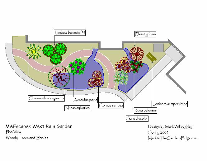 Designing Your Landscape The following guidelines will help you with selecting woody plants (trees, shrubs, and