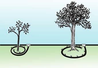 How to Water Native Landscapes 87 Obviously, a small sapling will not need as much water as a fully grown tree, but the initial system should allow for growth.
