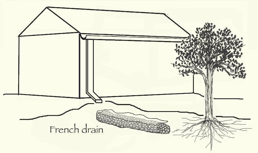 A French drain is a clever device for carrying water some distance away from a gutter downspout.