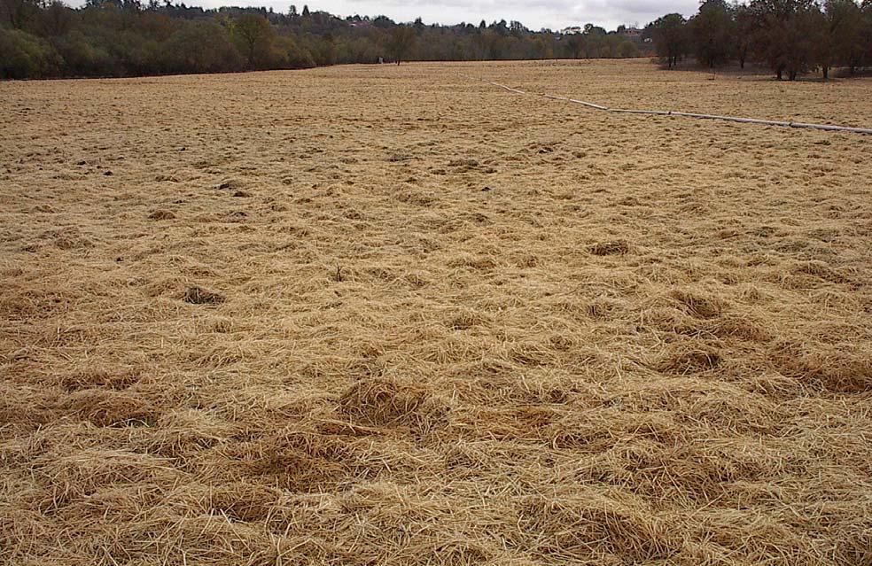 Straw Mulch The most effective erosion control practice (both in terms of protection and cost) is the use of cover crop and straw mulch.