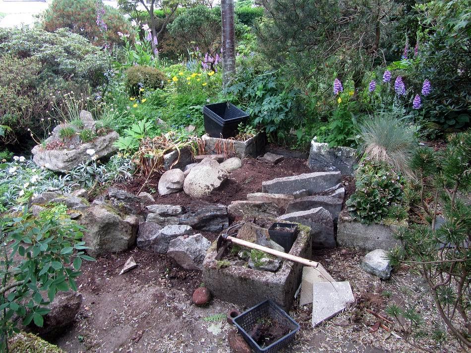 I wanted to include the troughs that were already there including the Ramonda trough on the right which is landscaped, crevice style, using broken paving slabs.