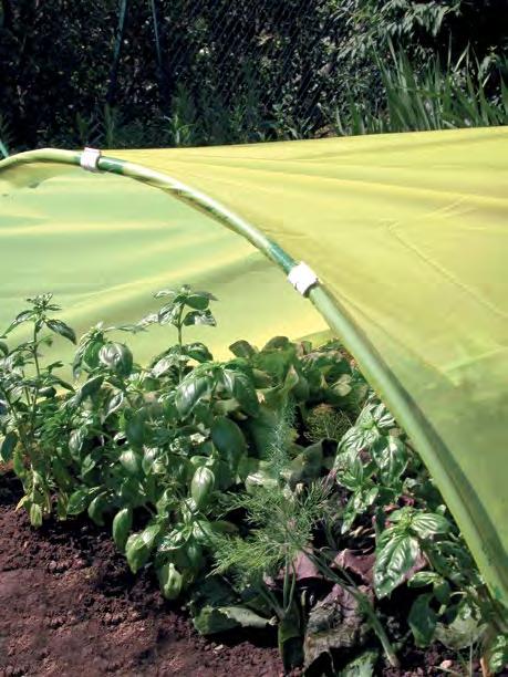 n e w SUN FILM Speeds up harvesting WATERPROOF COLD STOP VEGETABLES 70 µ 2 x 5 m 1A130291 8002929109712 10 3 x 10 m 1A130030