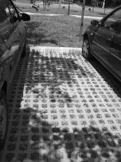 that seek to protect sown lawn [5]; The following images are presented permeable parking sawed slabs made of concrete (Figure 6 and 7), cheap and easily obtainable materials. Figure 4.
