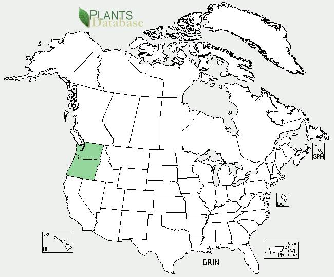 Plants database): Geographical range (distribution maps for North America and Washington state) GENERAL