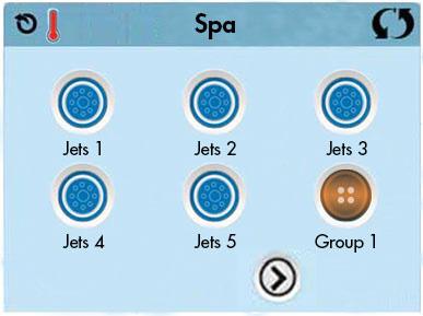 The display shows icons that are related to the equipment installed on a particular spa model, so this screen may change depending on the installation.