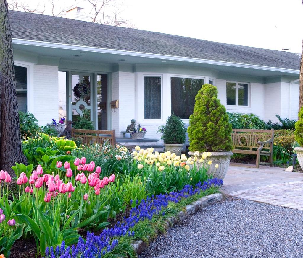 SPRING BULB TIPS Although spring-blooming bulbs are usually planted in fall, you can do some things now to ensure success. Photograph spring beds to remind yourself where there s room for more bulbs.