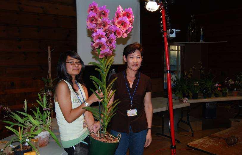 Tanya Lam was our speaker in July; she shared with us he successes in using coconut products in orchid culture, as is evidenced by this beautiful semi-terete Vanda.