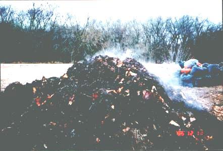 Hot or Fast Composting Minimum size 3 x3 x3 Greens and browns (C:N Ratio) Proper