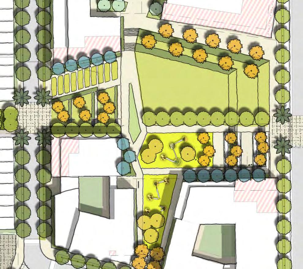 Community Garden Multi use Lawn Lawn Terrace Central Park Preliminary Concept Sketch