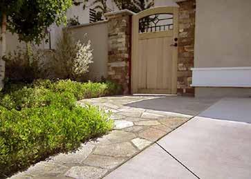 Grass - Luxurious and environmentally friendly, grass softens your front yard and blends your driveway into the