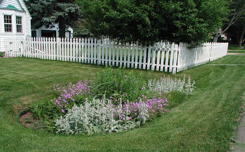 Backyard rain gardens are a fun and inexpensive way to improve water quality and enhance the beauty of your yard or business.