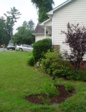 Rain gardens should ideally be located between the source of runoff (roofs and driveways) 