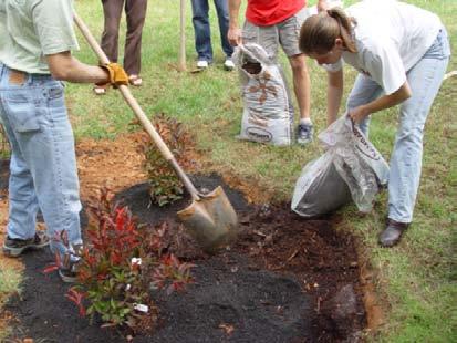 For very well drained soils, adding compost to the top layer of the garden will allow plants to establish themselves better and also allow the garden to retain more water.