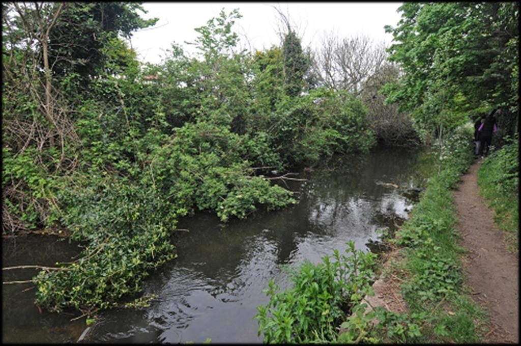The project will help to link the areas of Twickenham, Whitton, Feltham, Hounslow and the wider Crane Valley at the south western end of the DNR with Isleworth and Brentford at the north eastern end
