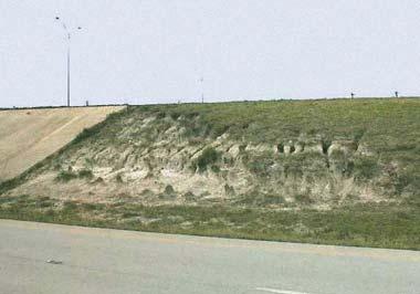 Examples of Use of Compost (Before) Erosion along State Highway 47 in College