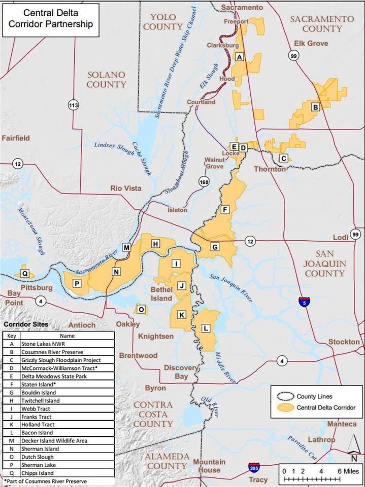 Central Delta Corridor Opportunity Significant ecological corridor with the majority of lands currently in public ownership Unique opportunity to more readily achieve ecological restoration
