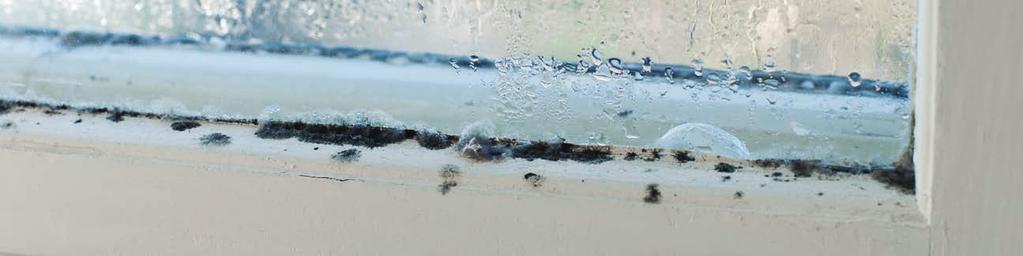 Excess moisture in your home can be obvious. You might smell it in the form of musty odors. You might see it in the form of mold and mildew. You might even feel it in the form of sweat or clamminess.