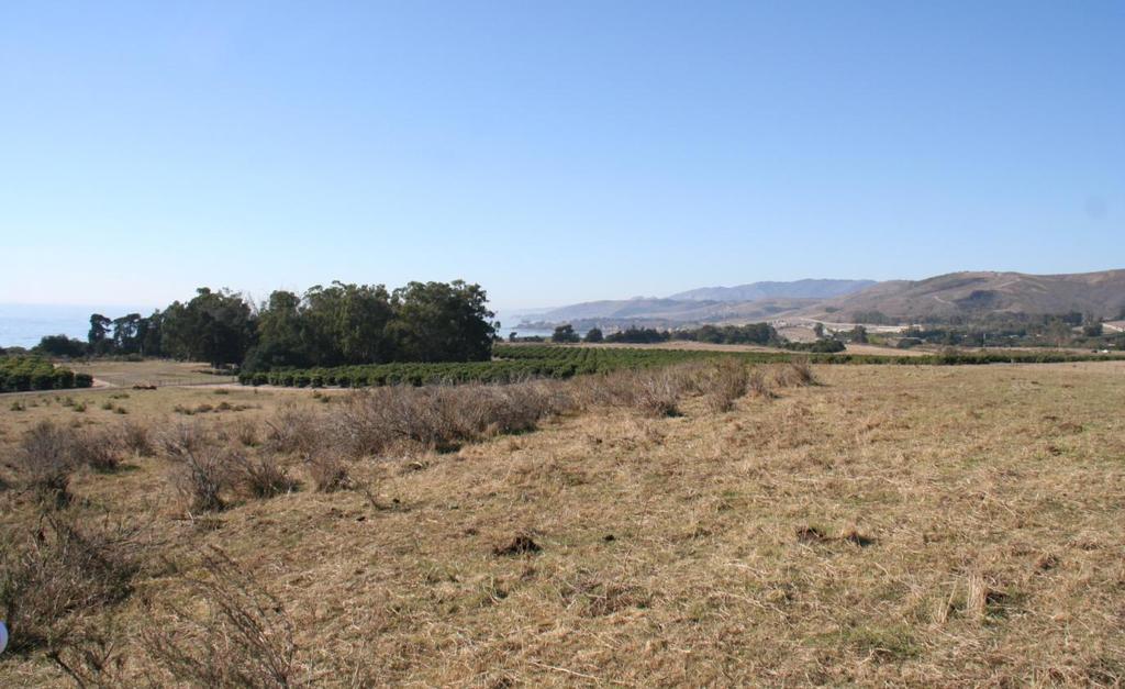 Photo 3. View looking west across proposed Parcel 3 towards El Capitan State Beach in the distant background.