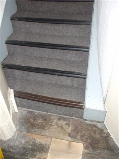 36 Finian Street from 3rd Floor to 4th Floor: The steps are not