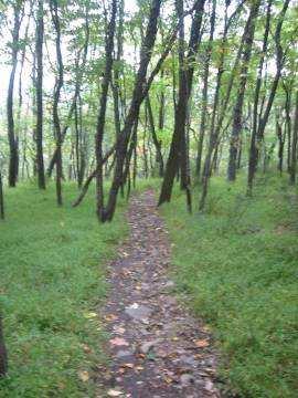 Zoning Legislation Enacted Appalachian Trail Zoning Regulation Enacted Statewide & Locally One of the most important trails in the Lehigh Valley is the Appalachian Trail, which follows the Kittatinny