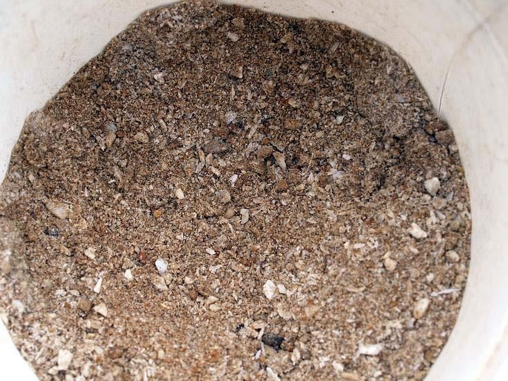 Bone meal Having scattered a pinch of rock dust over the bulbs I need to add some nitrogen and phosphorous and the way I like to do that is