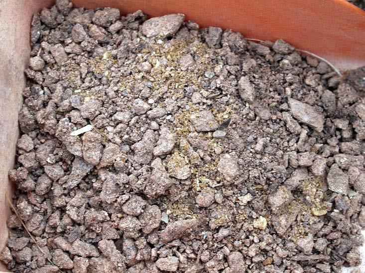 Compost with bone meal Because of its slow release over a long time the amount of bone meal that I add is not too critical so I basically add