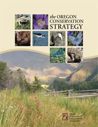 species Priority habitats Conservation