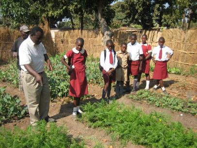 A garden tour Following the preparation of the special beds and planting of seedlings, the pupils were taken to the garden of Mr Takawira who had used the