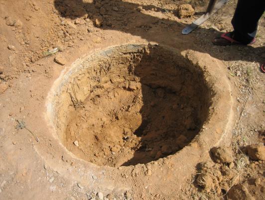 The first pit was excavated 2 weeks after the soil had been added to the pit (14 th