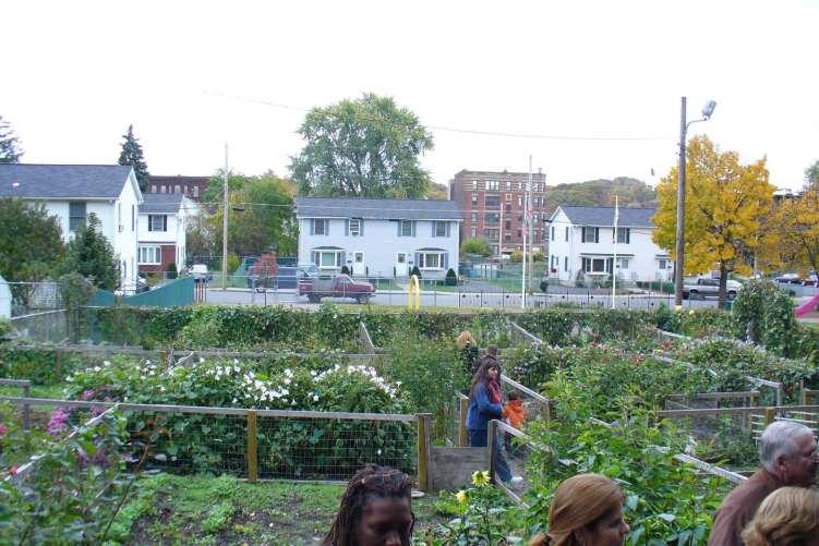 Community Gardens: