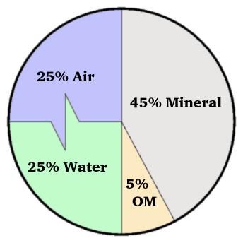 Your Soil exposed! Soil = Minerals, Organic Matter, Air Water, and?