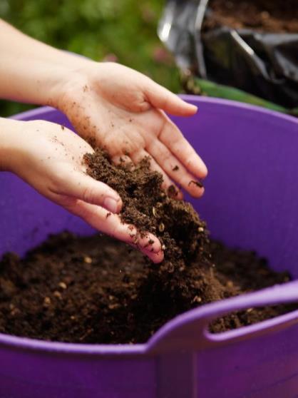 14 Watering tips [Demos] Spray or mist surface first to break surface tension (before seeds germinate) Add potting soil or compost to seed