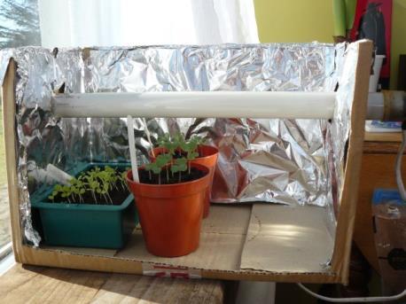 hours Use foil to help reflect light Reduce heat after germination